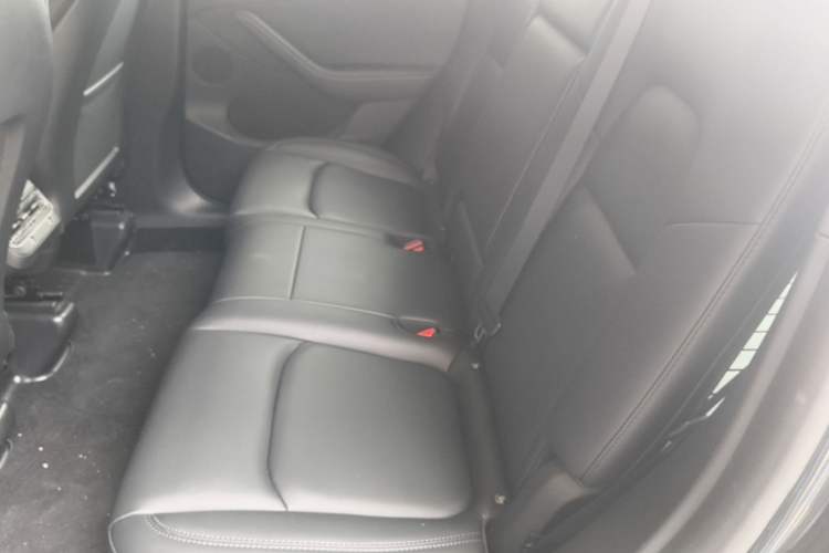Used Tesla Model Y 2024 Rear-Wheel-Drive Version Left Rear Seat