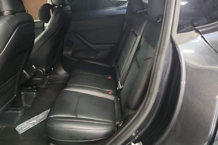 Used Tesla Model Y 2024 Rear-Wheel-Drive Version Left Rear Seat