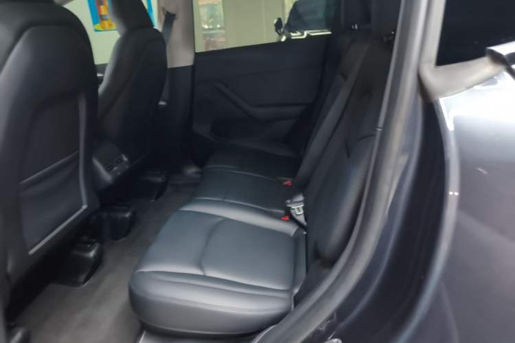 Used Tesla Model Y 2024 Rear-Wheel-Drive Version Left Rear Seat