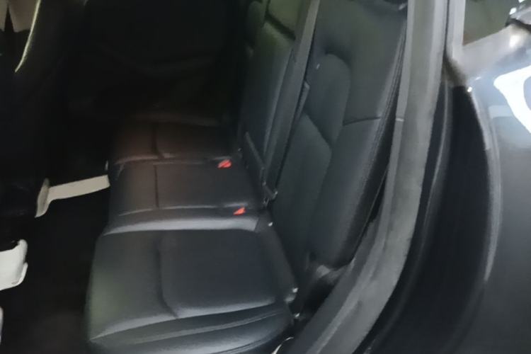 Used Tesla Model Y 2024 Rear-Wheel-Drive Version Left Rear Seat