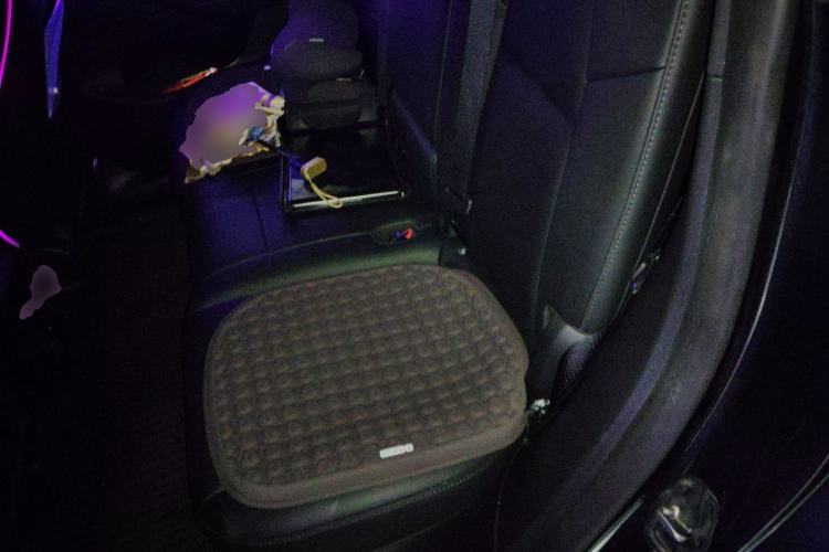 Used Tesla Model Y 2024 Long-Range All-Wheel-Drive Version Left Rear Seat