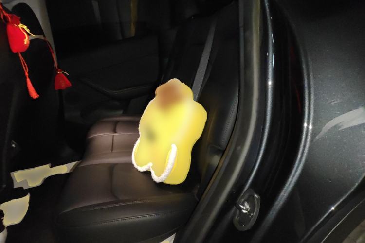 Used Tesla Model Y 2024 Rear-Wheel-Drive Version Left Rear Seat