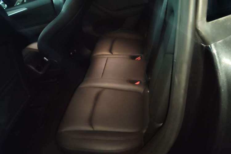 Used Tesla Model Y 2024 Rear-Wheel-Drive Version Left Rear Seat