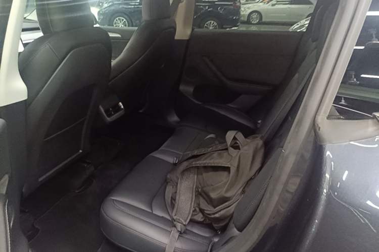 Used Tesla Model Y 2024 Rear-Wheel-Drive Version Left Rear Seat