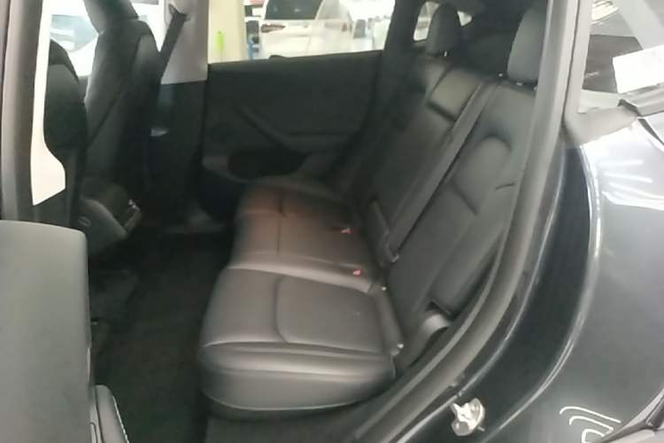 Used Tesla Model Y 2024 Rear-Wheel-Drive Version Left Rear Seat