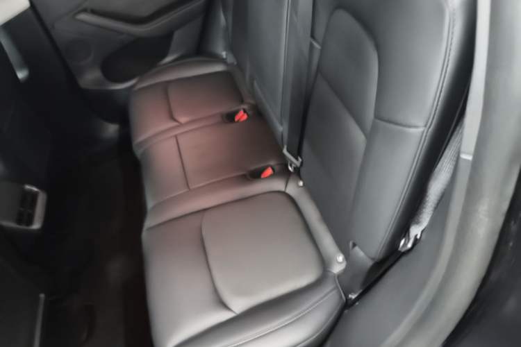 Used Tesla Model Y 2024 Rear-Wheel-Drive Version Left Rear Seat