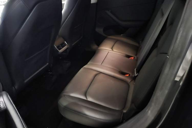 Used Tesla Model Y 2024 Rear-Wheel-Drive Version Left Rear Seat