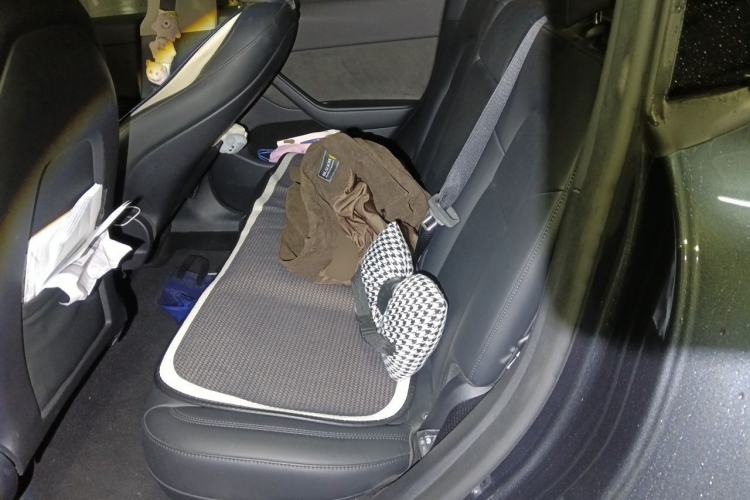 Used Tesla Model Y 2024 Rear-Wheel-Drive Version Left Rear Seat