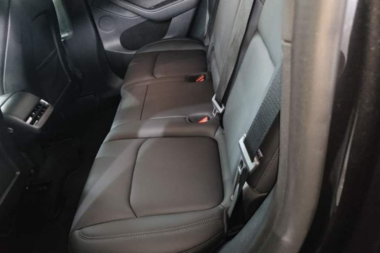 Used Tesla Model Y 2024 Rear-Wheel-Drive Version Left Rear Seat