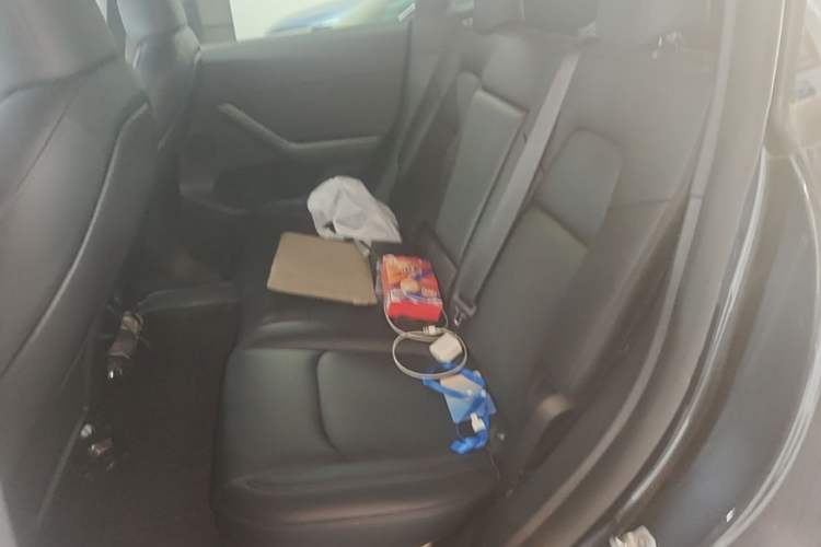 Used Tesla Model Y 2024 Rear-Wheel-Drive Version Left Rear Seat