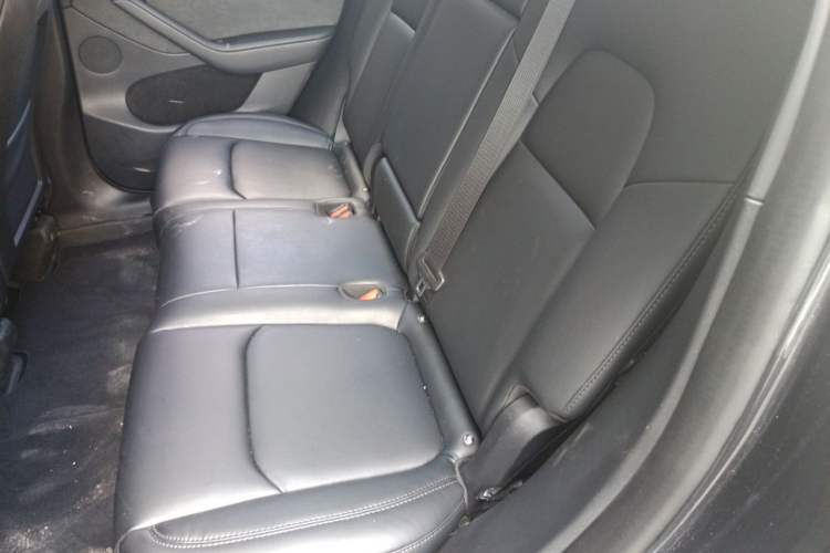 Used Tesla Model Y 2024 Rear-Wheel-Drive Version Left Rear Seat