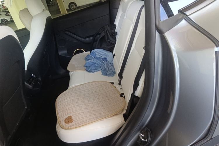 Used Tesla Model Y 2024 Long-Range All-Wheel-Drive Version Left Rear Seat