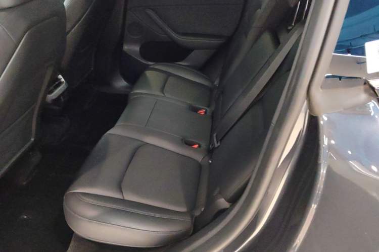 Used Tesla Model Y 2024 Rear-Wheel-Drive Version Left Rear Seat