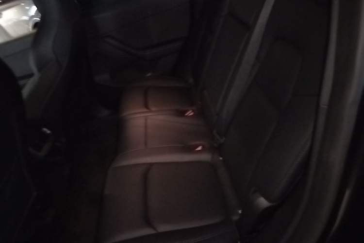 Used Tesla Model Y 2024 Rear-Wheel-Drive Version Left Rear Seat