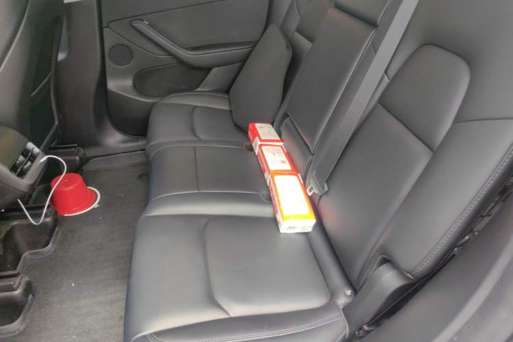 Used Tesla Model Y 2024 Rear-Wheel-Drive Version Left Rear Seat