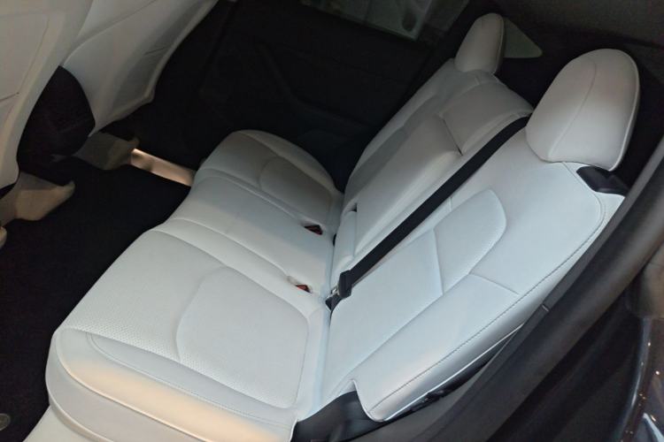 Used Tesla Model Y 2024 Rear-Wheel-Drive Version Left Rear Seat
