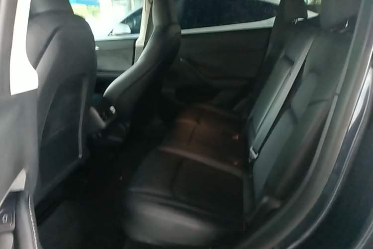 Used Tesla Model Y 2024 Rear-Wheel-Drive Version Left Rear Seat