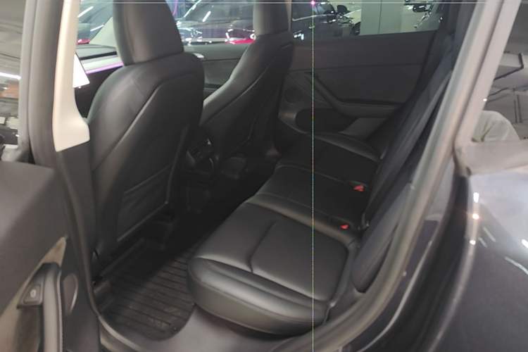 Used Tesla Model Y 2024 Rear-Wheel-Drive Version Left Rear Seat