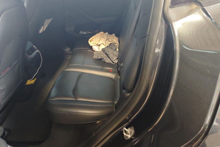 Used Tesla Model Y 2024 Rear-Wheel-Drive Version Left Rear Seat