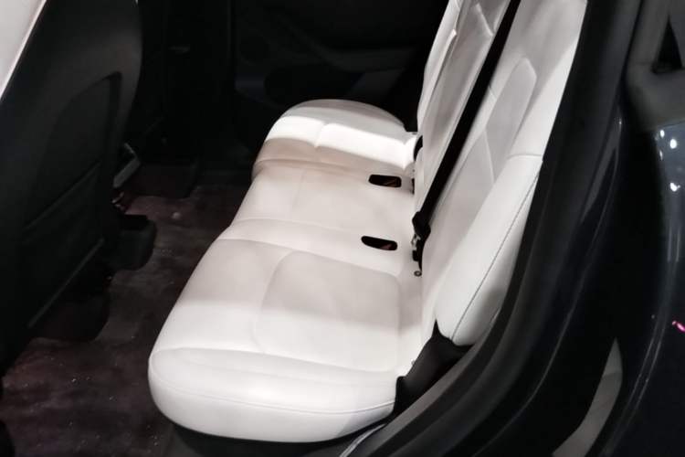Used Tesla Model Y 2024 Long-Range All-Wheel-Drive Version Left Rear Seat