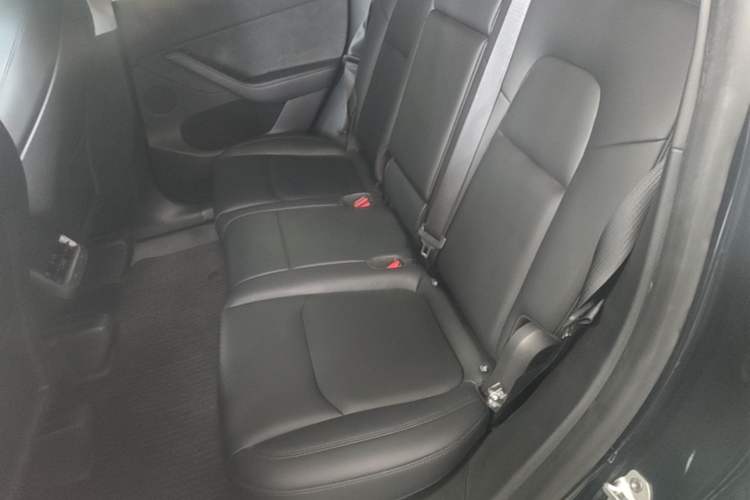 Used Tesla Model Y 2024 Rear-Wheel-Drive Version Left Rear Seat