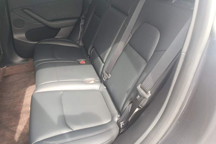 Used Tesla Model Y 2024 Rear-Wheel-Drive Version Left Rear Seat