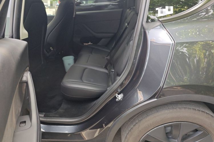 Used Tesla Model Y 2024 Rear-Wheel-Drive Version Left Rear Seat