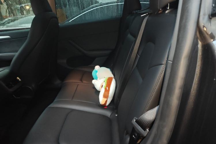 Used Tesla Model Y 2024 Rear-Wheel-Drive Version Left Rear Seat