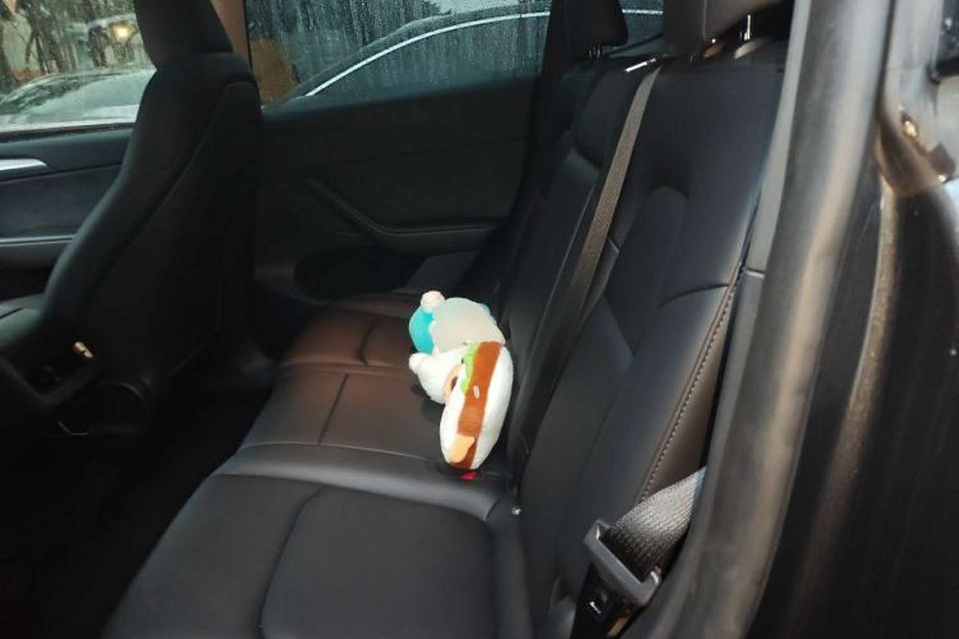 Used Tesla Model Y 2024 Rear-Wheel-Drive Version Left Rear Seat