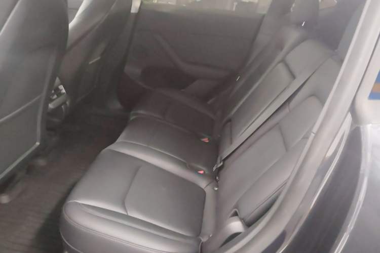 Used Tesla Model Y 2024 Rear-Wheel-Drive Version Left Rear Seat