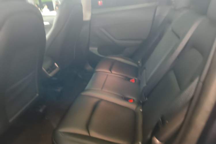 Used Tesla Model Y 2024 Long-Range All-Wheel-Drive Version Left Rear Seat