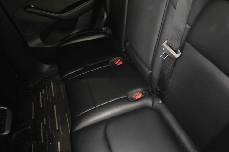 Used Tesla Model Y 2024 Rear-Wheel-Drive Version Left Rear Seat