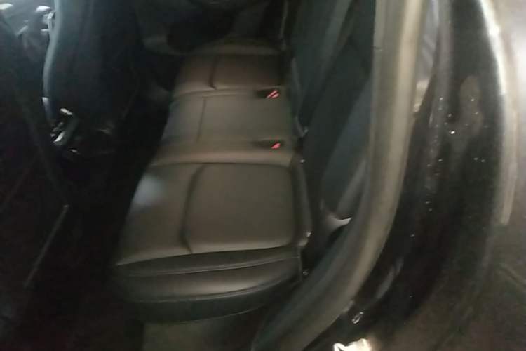 Used Tesla Model Y 2024 Rear-Wheel-Drive Version Left Rear Seat