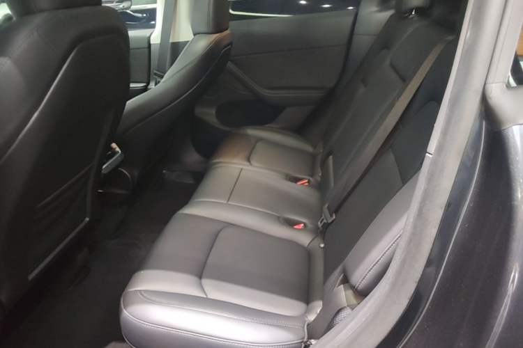 Used Tesla Model Y 2024 Rear-Wheel-Drive Version Left Rear Seat