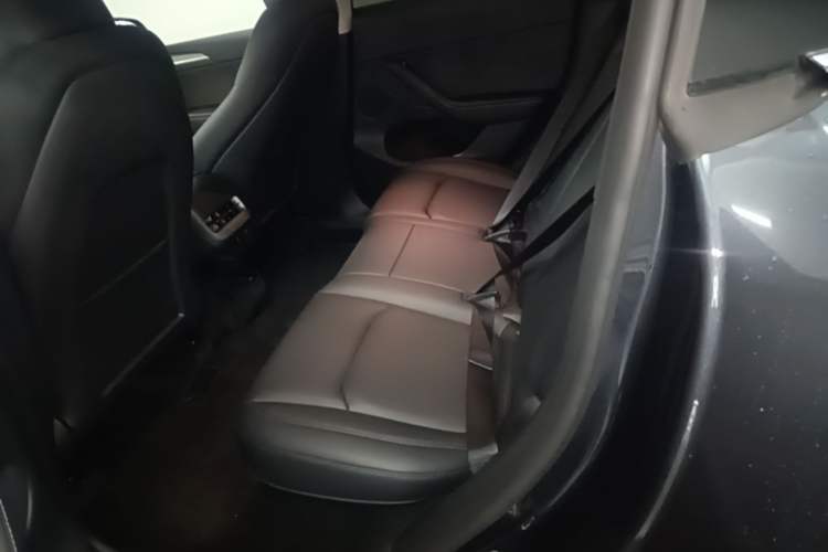 Used Tesla Model Y 2024 Long-Range All-Wheel-Drive Version Left Rear Seat