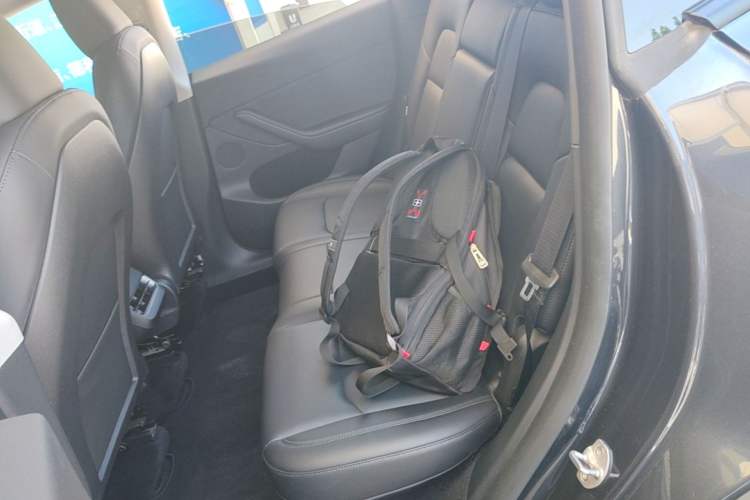 Used Tesla Model Y 2024 Rear-Wheel-Drive Version Left Rear Seat
