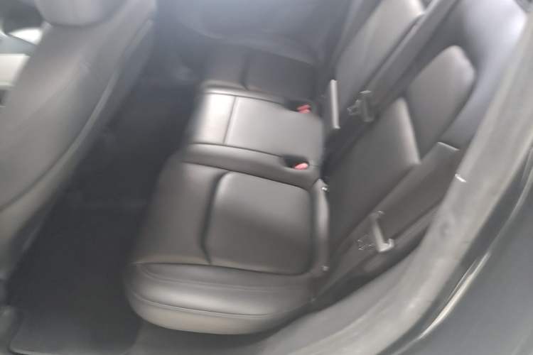Used Tesla Model Y 2024 Rear-Wheel-Drive Version Left Rear Seat