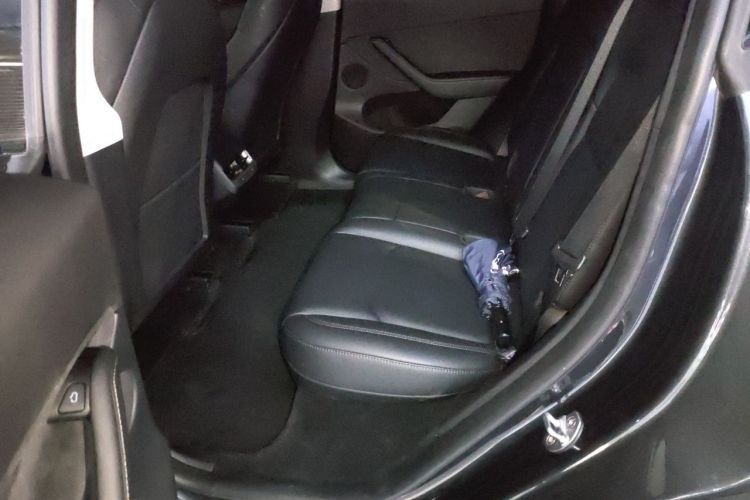 Used Tesla Model Y 2024 Rear-Wheel-Drive Version Left Rear Seat