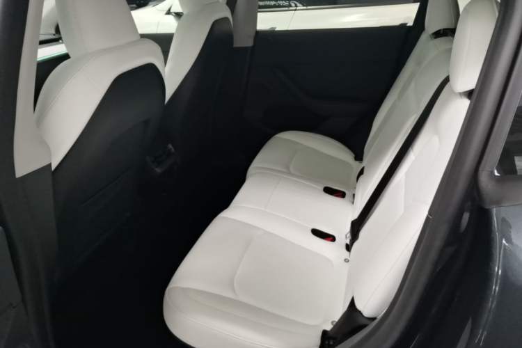Used Tesla Model Y 2024 Rear-Wheel-Drive Version Left Rear Seat