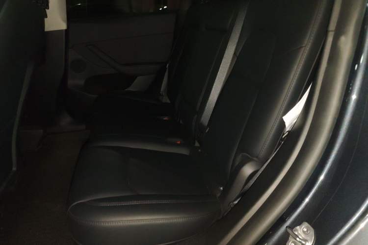Used Tesla Model Y 2024 Rear-Wheel-Drive Version Left Rear Seat