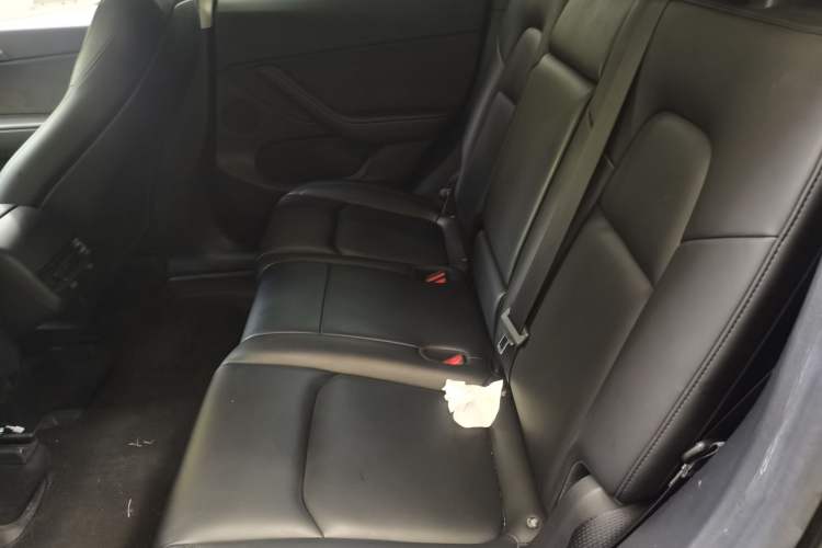 Used Tesla Model Y 2024 Rear-Wheel-Drive Version Left Rear Seat