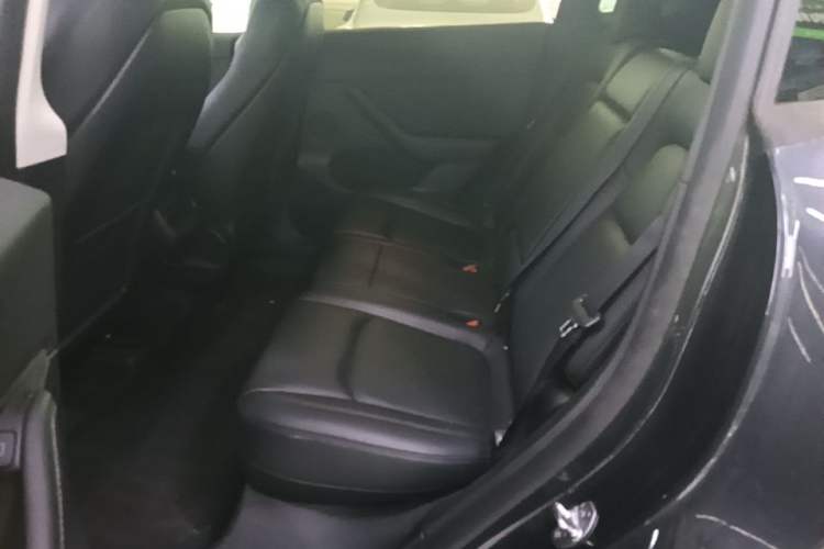 Used Tesla Model Y 2024 Rear-Wheel-Drive Version Left Rear Seat