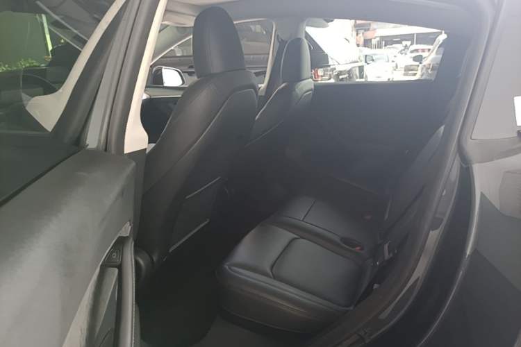 Used Tesla Model Y 2024 Rear-Wheel-Drive Version Left Rear Seat