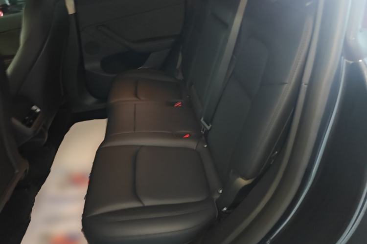 Used Tesla Model Y 2024 Rear-Wheel-Drive Version Left Rear Seat