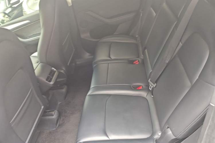 Used Tesla Model Y 2024 Rear-Wheel-Drive Version Left Rear Seat