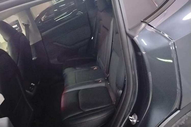 Used Tesla Model Y 2024 Long-Range All-Wheel-Drive Version Left Rear Seat