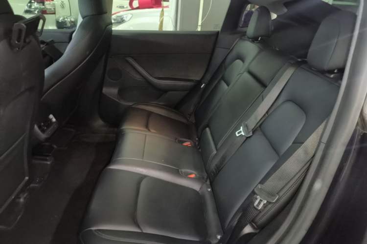 Used Tesla Model Y 2024 Rear-Wheel-Drive Version Left Rear Seat