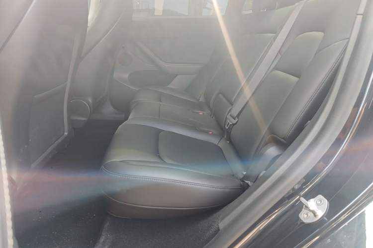 Used Tesla Model Y 2024 Long-Range All-Wheel-Drive Version Left Rear Seat