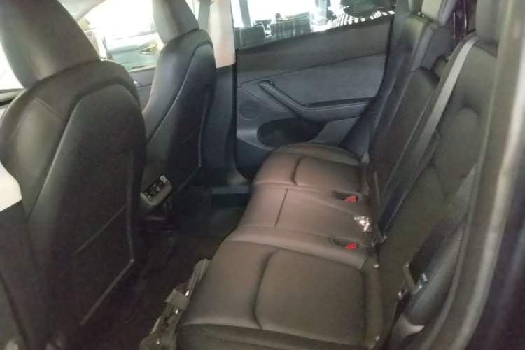 Used Tesla Model Y 2024 Long-Range All-Wheel-Drive Version Left Rear Seat