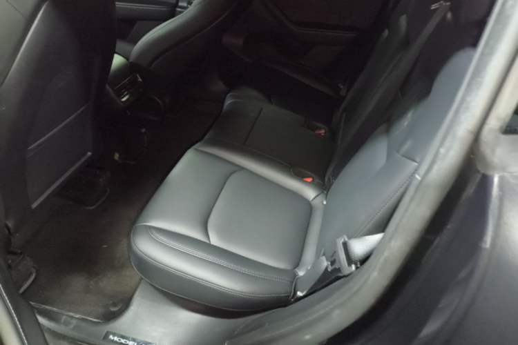 Used Tesla Model Y 2024 Rear-Wheel-Drive Version Left Rear Seat